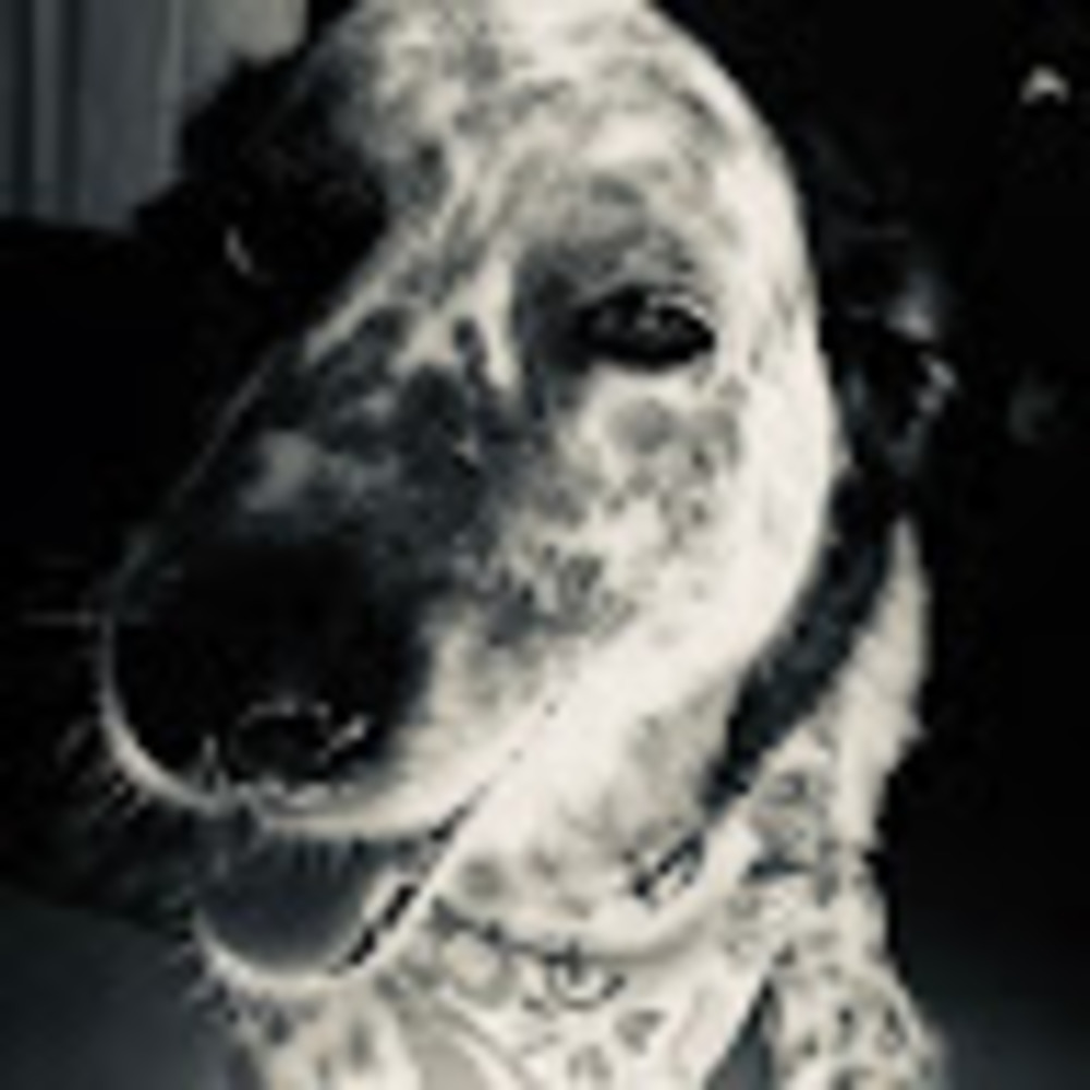 Meet your Posher, Sierra